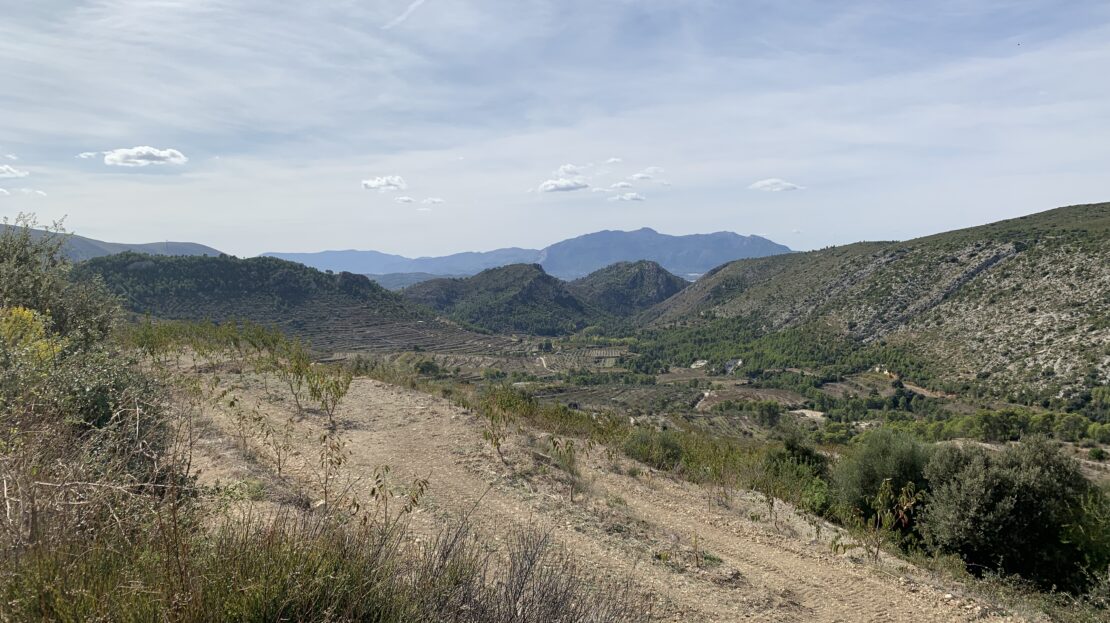 video image